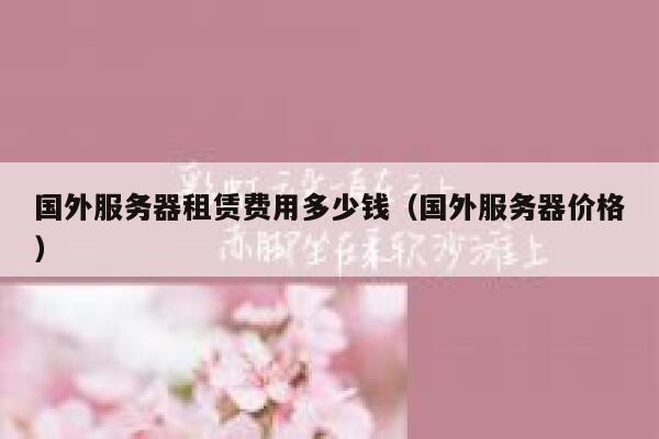 国外服务器租赁费用多少钱(国外服务器价格) 第1张 国外服务器租赁费用多少钱(国外服务器价格) 第1张