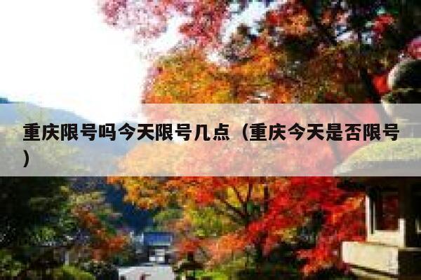 重庆限号吗今天限号几点（重庆今天是否限号） 第1张