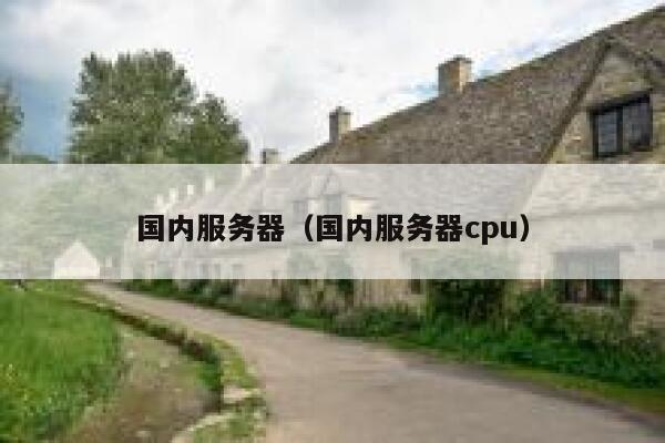 国内服务器（国内服务器cpu） 第1张
