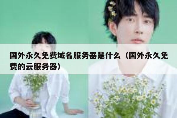 国外永久免费域名服务器是什么(国外永久免费的云服务器) 第1张 国外永久免费域名服务器是什么(国外永久免费的云服务器) 第1张