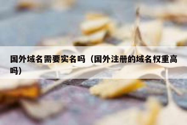 国外域名需要实名吗(国外注册的域名权重高吗) 第1张 国外域名需要实名吗(国外注册的域名权重高吗) 第1张