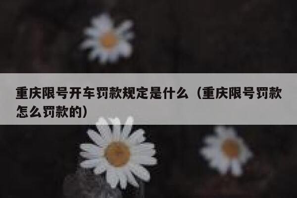 重庆限号开车罚款规定是什么（重庆限号罚款怎么罚款的） 第1张
