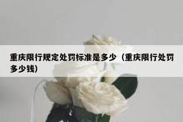 重庆限行规定处罚标准是多少（重庆限行处罚多少钱） 第1张