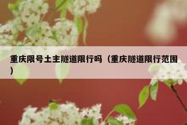 重庆限号土主隧道限行吗（重庆隧道限行范围） 第1张