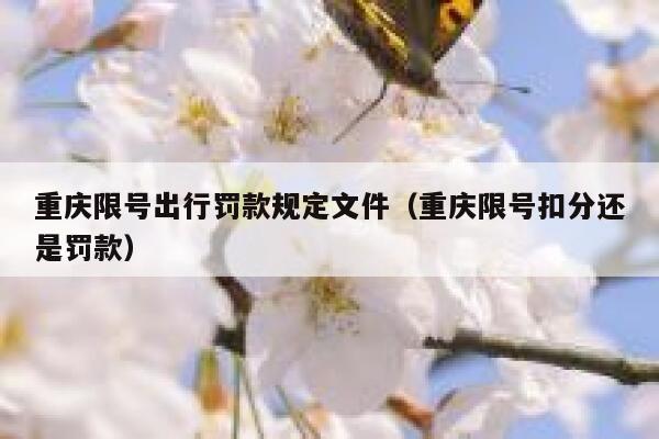 重庆限号出行罚款规定文件(重庆限号扣分还是罚款) 第1张 重庆限号出行罚款规定文件(重庆限号扣分还是罚款) 第1张