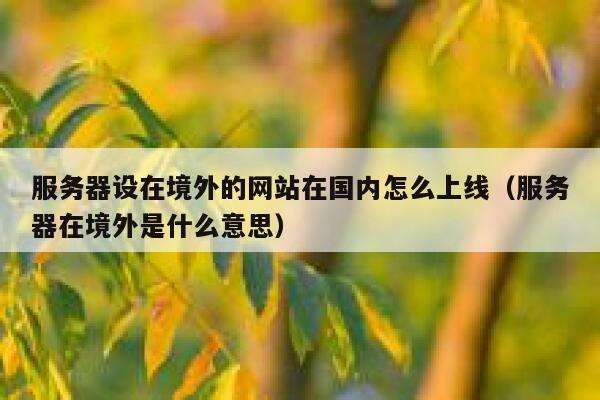 服务器设在境外的网站在国内怎么上线（服务器在境外是什么意思） 第1张