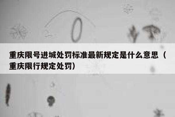 重庆限号进城处罚标准最新规定是什么意思(重庆限行规定处罚) 第1张 重庆限号进城处罚标准最新规定是什么意思(重庆限行规定处罚) 第1张