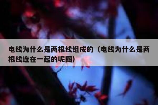 电线为什么是两根线组成的（电线为什么是两根线连在一起的呢图） 第1张
