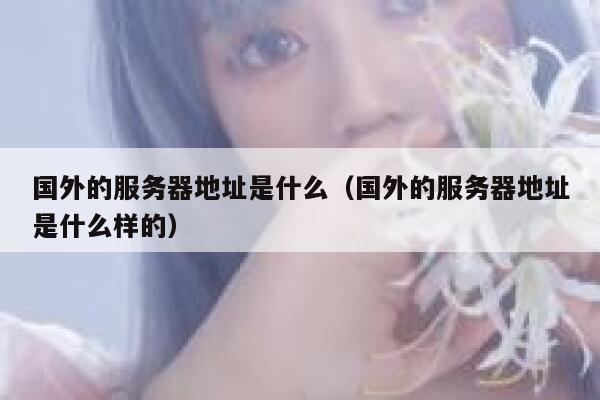 国外的服务器地址是什么（国外的服务器地址是什么样的） 第1张