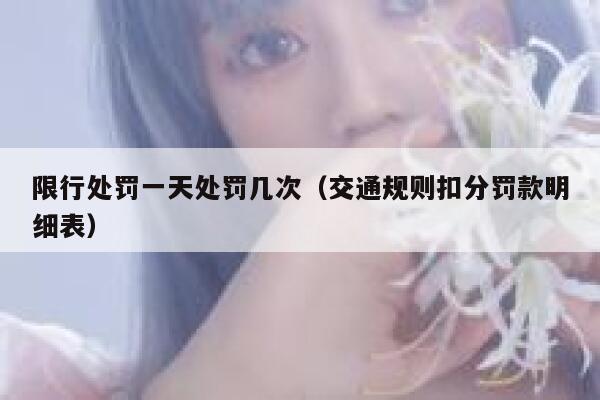 限行处罚一天处罚几次（交通规则扣分罚款明细表） 第1张