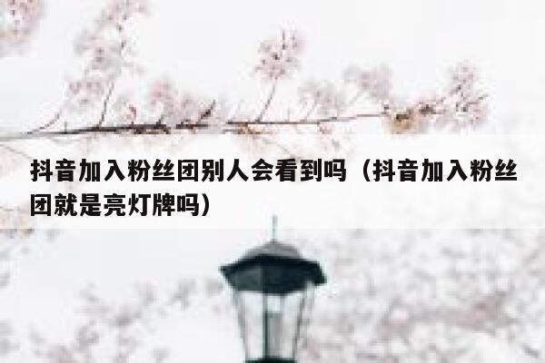 抖音加入粉丝团别人会看到吗（抖音加入粉丝团就是亮灯牌吗） 第1张