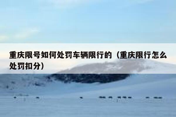 重庆限号如何处罚车辆限行的(重庆限行怎么处罚扣分) 第1张 重庆限号如何处罚车辆限行的(重庆限行怎么处罚扣分) 第1张