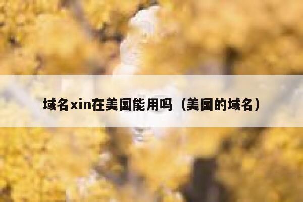 域名xin在美国能用吗(美国的域名) 第1张 域名xin在美国能用吗(美国的域名) 第1张