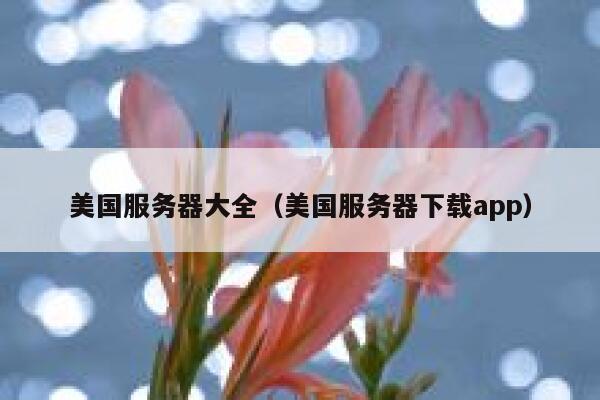 美国服务器大全（美国服务器下载app） 第1张