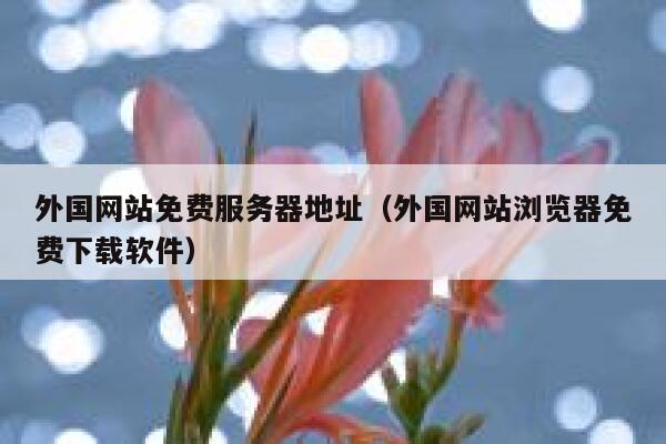 外国网站免费服务器地址（外国网站浏览器免费下载软件） 第1张