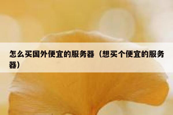 怎么买国外便宜的服务器(想买个便宜的服务器) 第1张 怎么买国外便宜的服务器(想买个便宜的服务器) 第1张