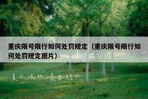 重庆限号限行如何处罚规定（重庆限号限行如何处罚规定图片） 第1张