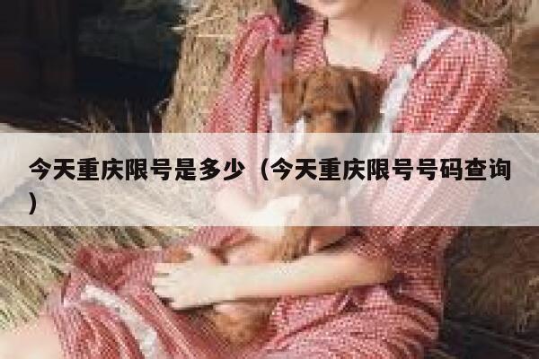 今天重庆限号是多少（今天重庆限号号码查询） 第1张