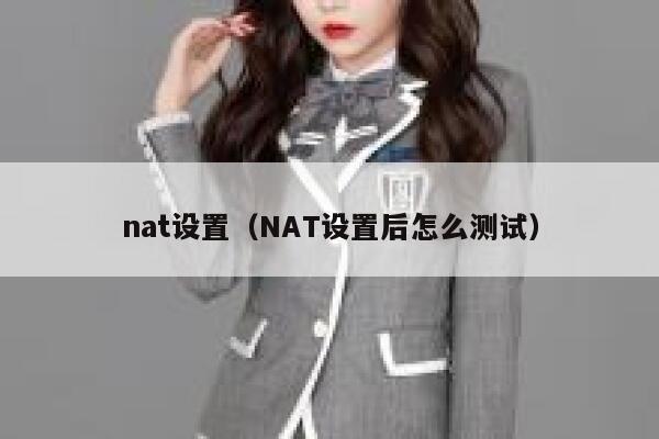 nat设置（NAT设置后怎么测试） 第1张