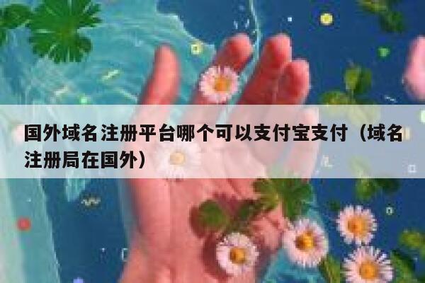 国外域名注册平台哪个可以支付宝支付（域名注册局在国外） 第1张