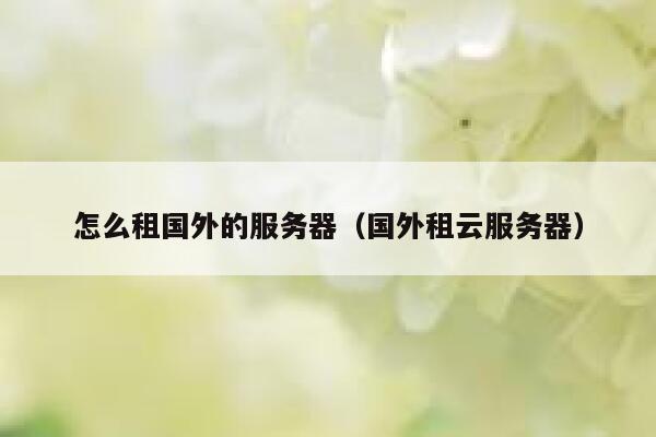 怎么租国外的服务器（国外租云服务器） 第1张