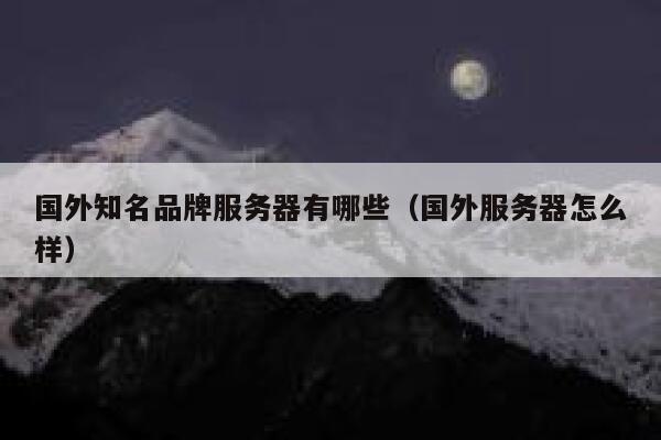 国外知名品牌服务器有哪些（国外服务器怎么样） 第1张