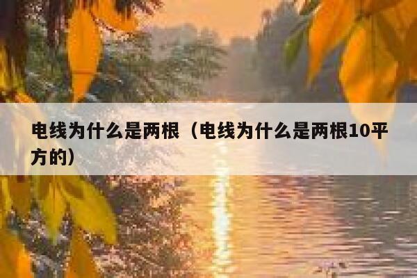 电线为什么是两根（电线为什么是两根10平方的） 第1张