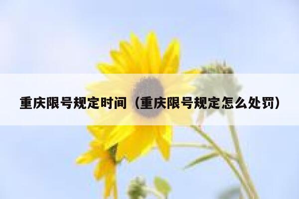 重庆限号规定时间（重庆限号规定怎么处罚） 第1张