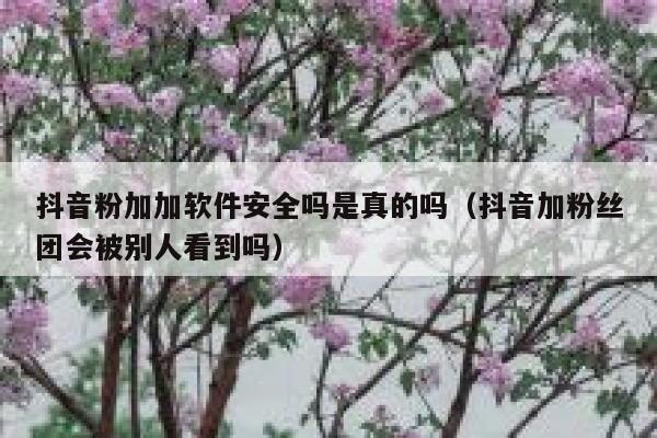 抖音粉加加软件安全吗是真的吗（抖音加粉丝团会被别人看到吗） 第1张