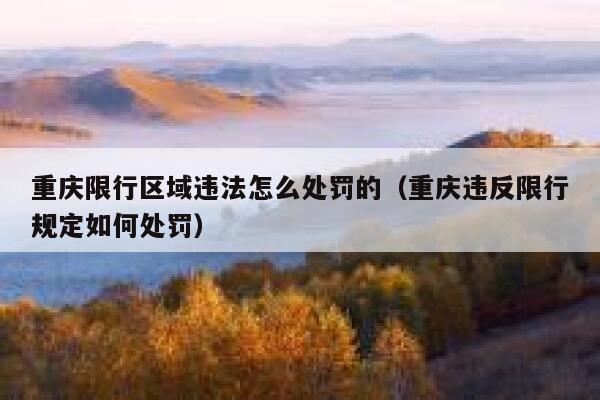 重庆限行区域违法怎么处罚的(重庆违反限行规定如何处罚) 第1张 重庆限行区域违法怎么处罚的(重庆违反限行规定如何处罚) 第1张