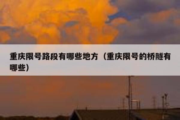 重庆限号路段有哪些地方（重庆限号的桥隧有哪些） 第1张
