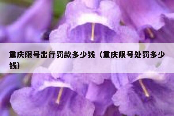 重庆限号出行罚款多少钱（重庆限号处罚多少钱） 第1张