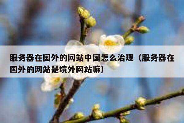 服务器在国外的网站中国怎么治理（服务器在国外的网站是境外网站嘛） 第1张