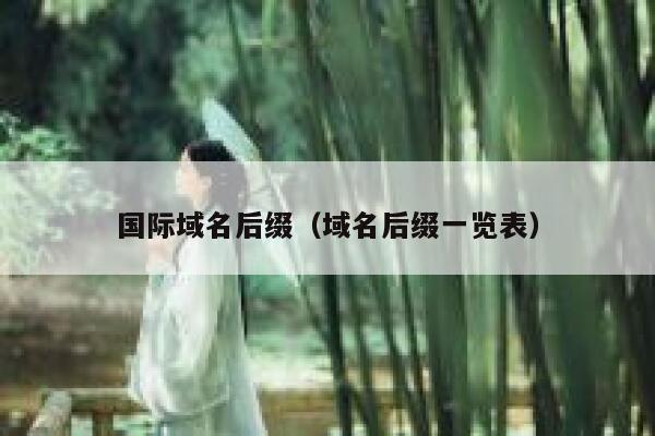 国际域名后缀（域名后缀一览表） 第1张