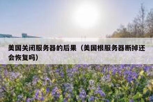 美国关闭服务器的后果（美国根服务器断掉还会恢复吗） 第1张