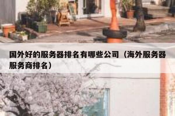 国外好的服务器排名有哪些公司（海外服务器服务商排名） 第1张