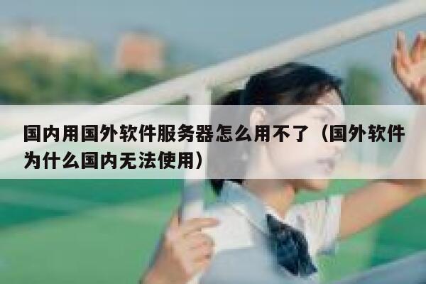 国内用国外软件服务器怎么用不了（国外软件为什么国内无法使用） 第1张