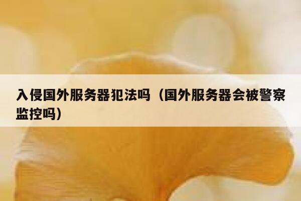入侵国外服务器犯法吗（国外服务器会被警察监控吗） 第1张