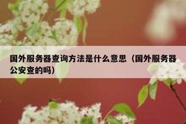 国外服务器查询方法是什么意思(国外服务器公安查的吗) 第1张 国外服务器查询方法是什么意思(国外服务器公安查的吗) 第1张
