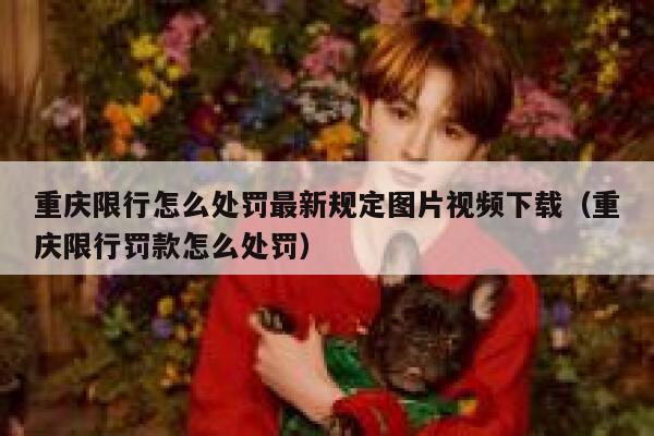 重庆限行怎么处罚最新规定图片视频下载（重庆限行罚款怎么处罚） 第1张