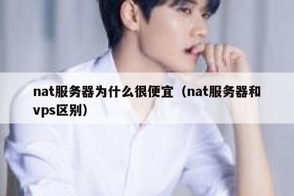 nat服务器为什么很便宜(nat服务器和vps区别) 第1张 nat服务器为什么很便宜(nat服务器和vps区别) 第1张