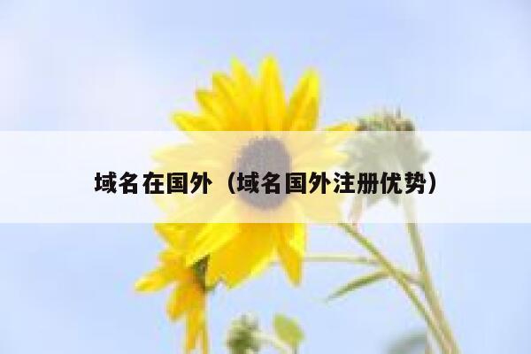 域名在国外（域名国外注册优势） 第1张