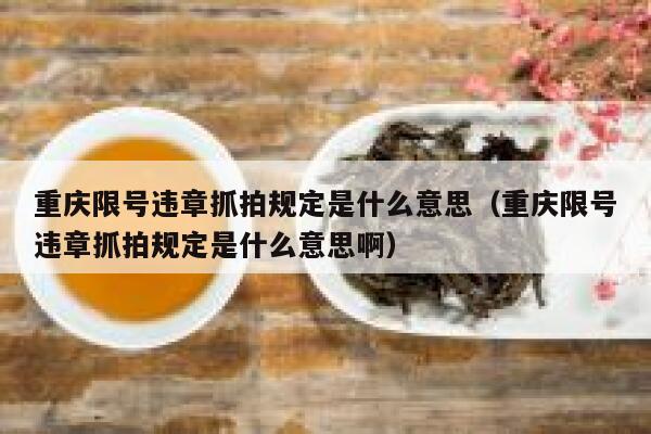 重庆限号违章抓拍规定是什么意思(重庆限号违章抓拍规定是什么意思啊) 第1张 重庆限号违章抓拍规定是什么意思(重庆限号违章抓拍规定是什么意思啊) 第1张