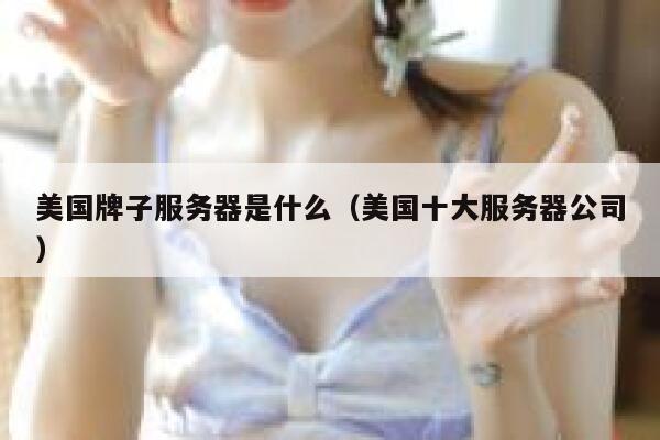 美国牌子服务器是什么（美国十大服务器公司） 第1张