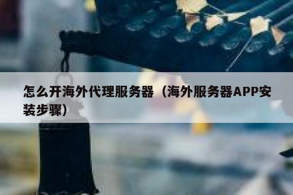 怎么开海外代理服务器（海外服务器APP安装步骤） 第1张