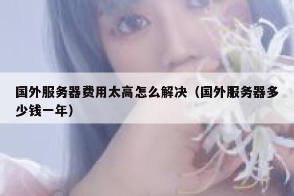 国外服务器费用太高怎么解决（国外服务器多少钱一年） 第1张