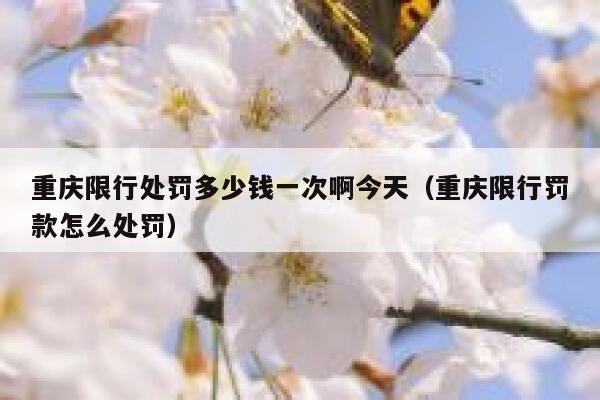 重庆限行处罚多少钱一次啊今天(重庆限行罚款怎么处罚) 第1张 重庆限行处罚多少钱一次啊今天(重庆限行罚款怎么处罚) 第1张