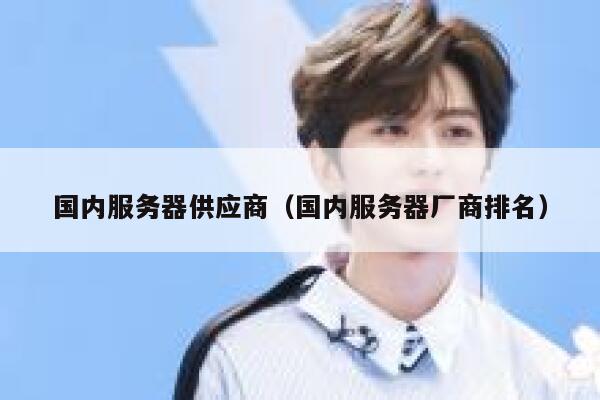 国内服务器供应商（国内服务器厂商排名） 第1张