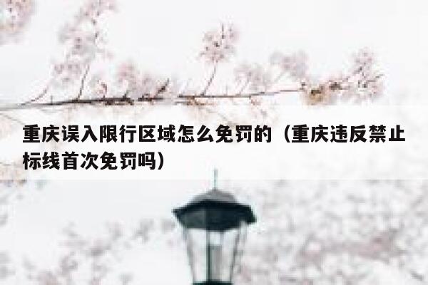 重庆误入限行区域怎么免罚的（重庆违反禁止标线首次免罚吗） 第1张