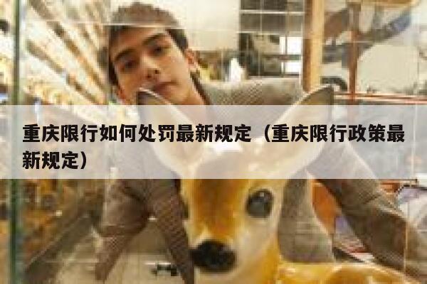 重庆限行如何处罚最新规定(重庆限行政策最新规定) 第1张 重庆限行如何处罚最新规定(重庆限行政策最新规定) 第1张